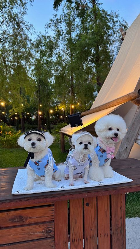 image_B465093B-FEBA-4A47-BA5C-ACA33A00126D_1751860505