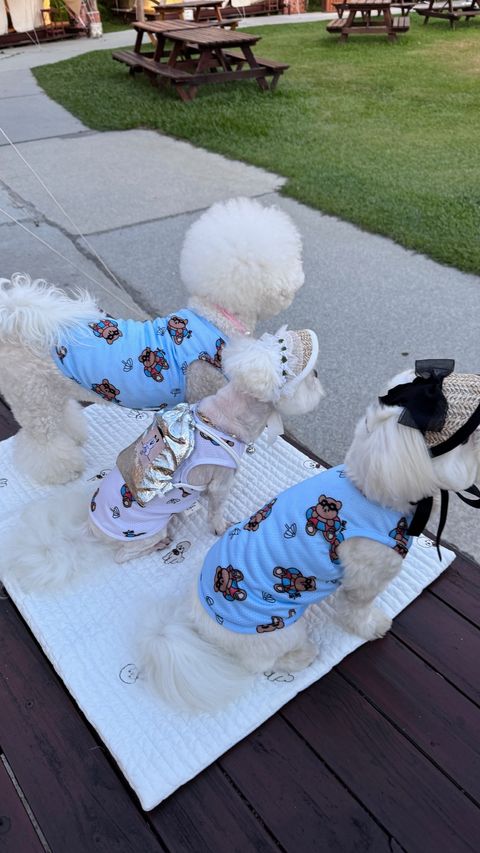 image_15A01D80-11D7-4A77-8431-8D4C9B4B58D7_1751860505