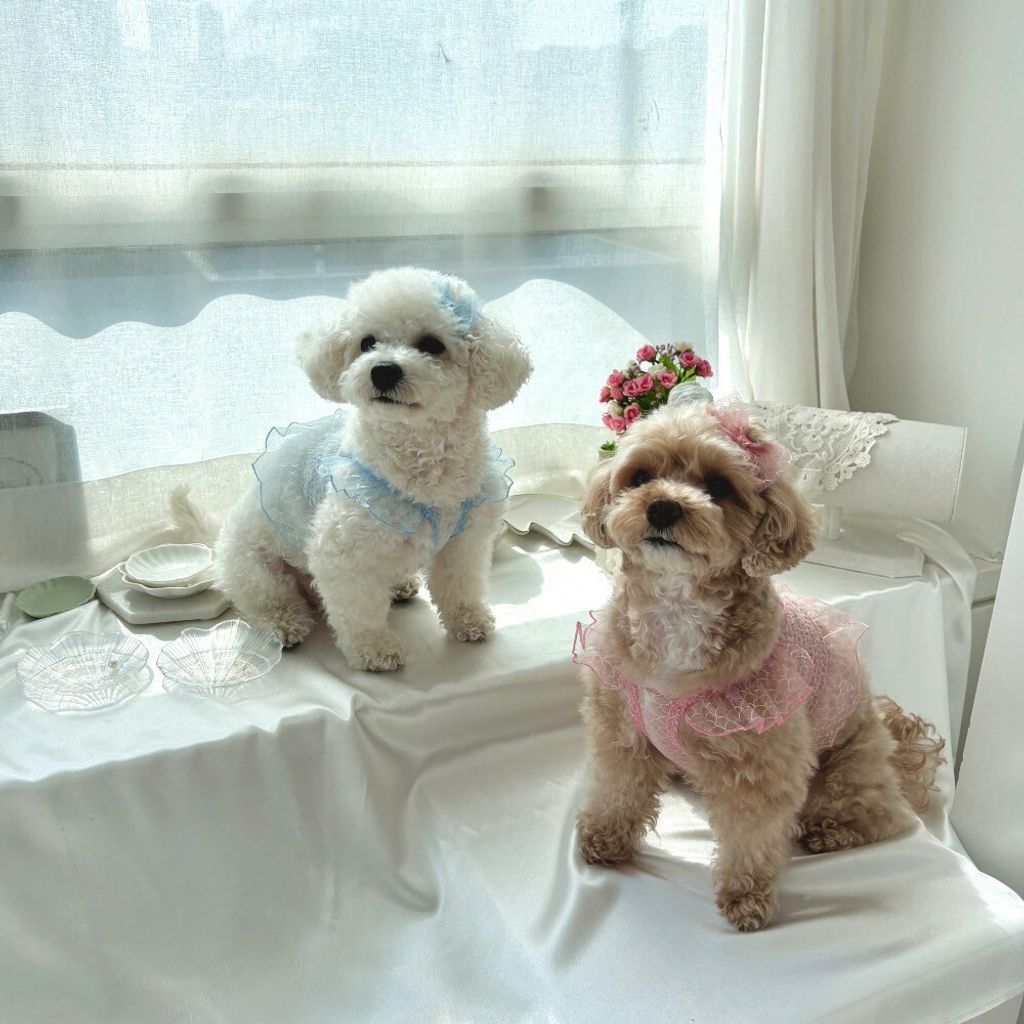 LINE_ALBUM_Himong_250711_38