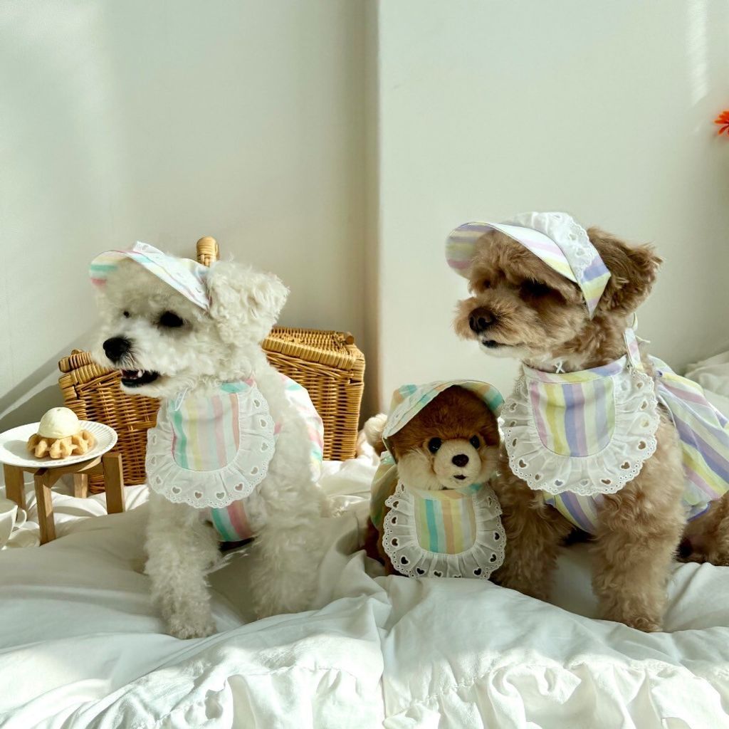 LINE_ALBUM_Himong_250711_4