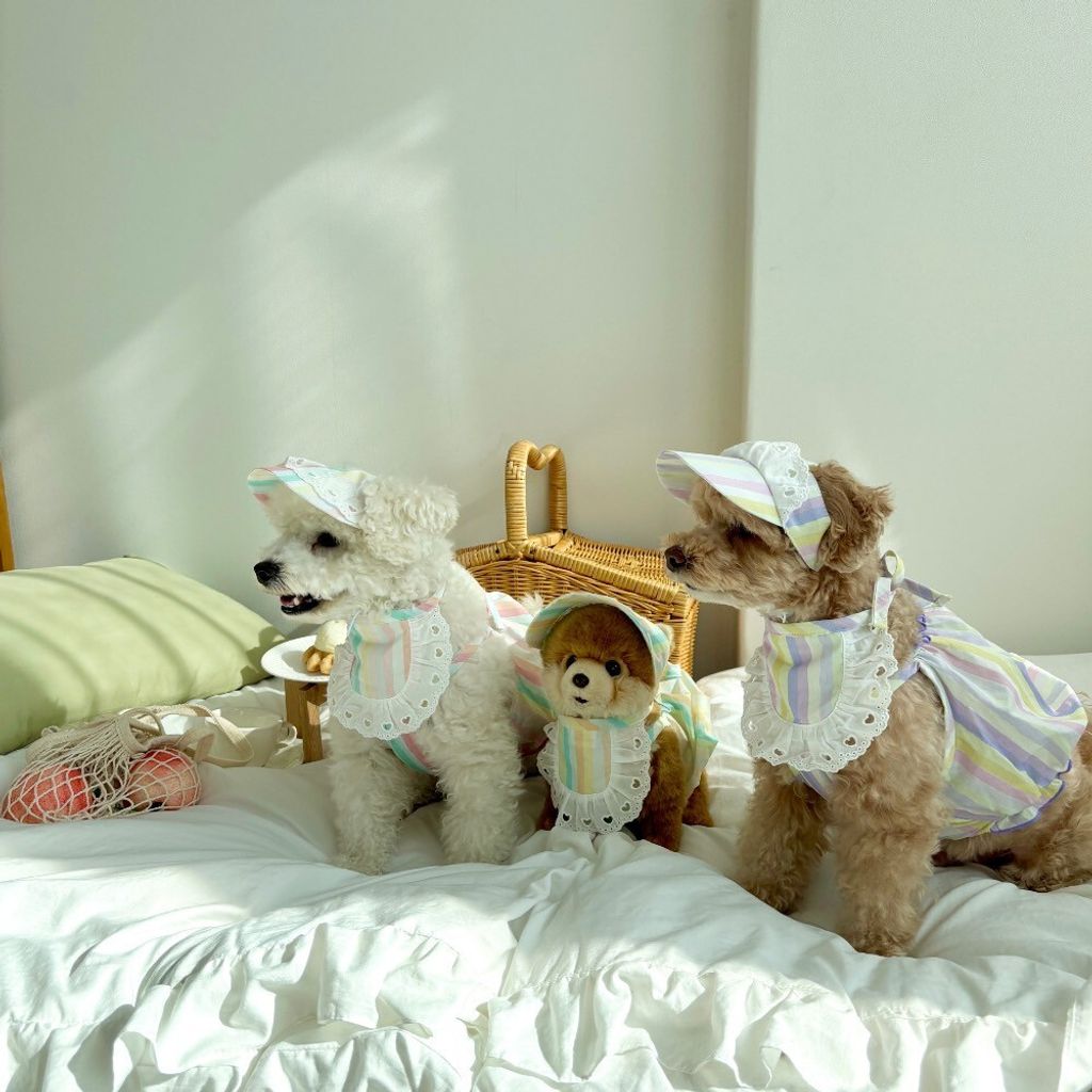 LINE_ALBUM_Himong_250711_13