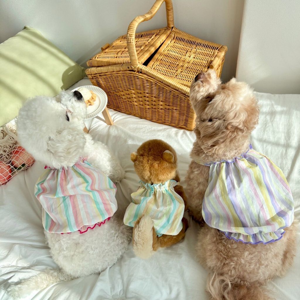 LINE_ALBUM_Himong_250711_15