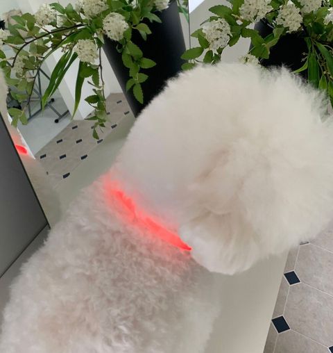 LINE_ALBUM_Frei_250813_19