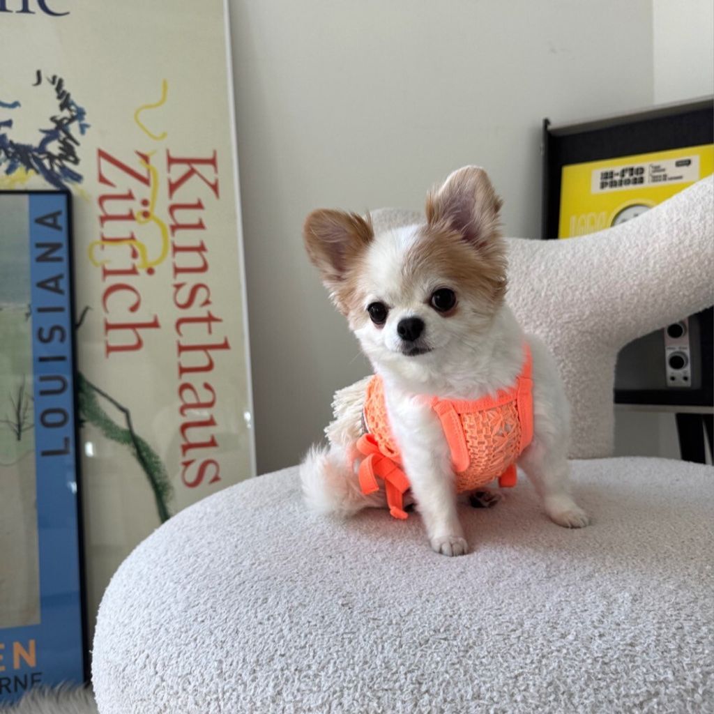 LINE_ALBUM_Appleapple_250813_11