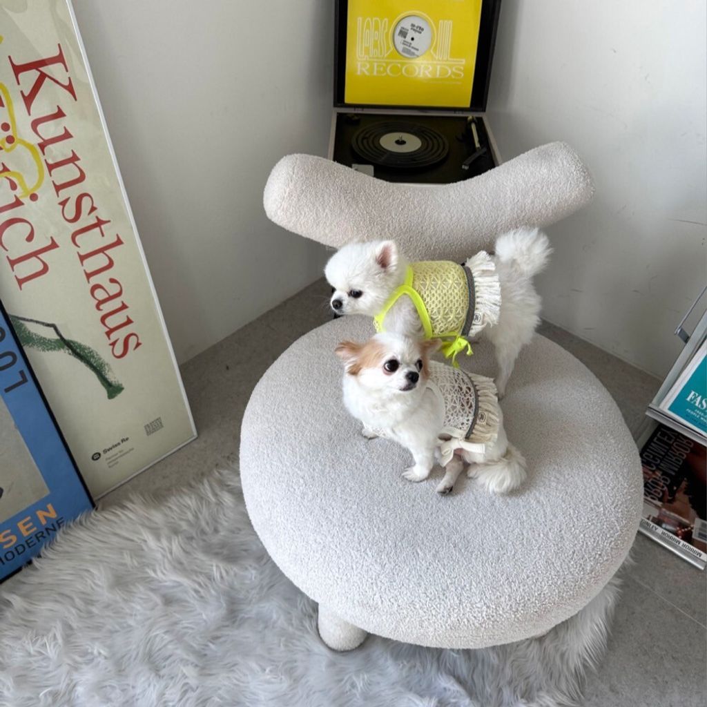 LINE_ALBUM_Appleapple_250813_13