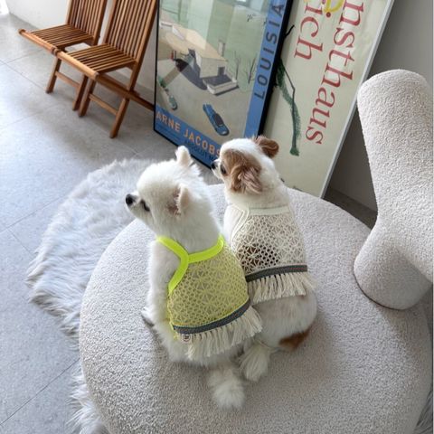 LINE_ALBUM_Appleapple_250813_14