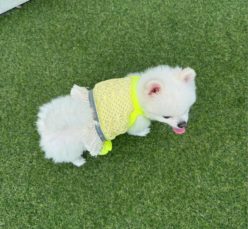 LINE_ALBUM_Appleapple_250813_6