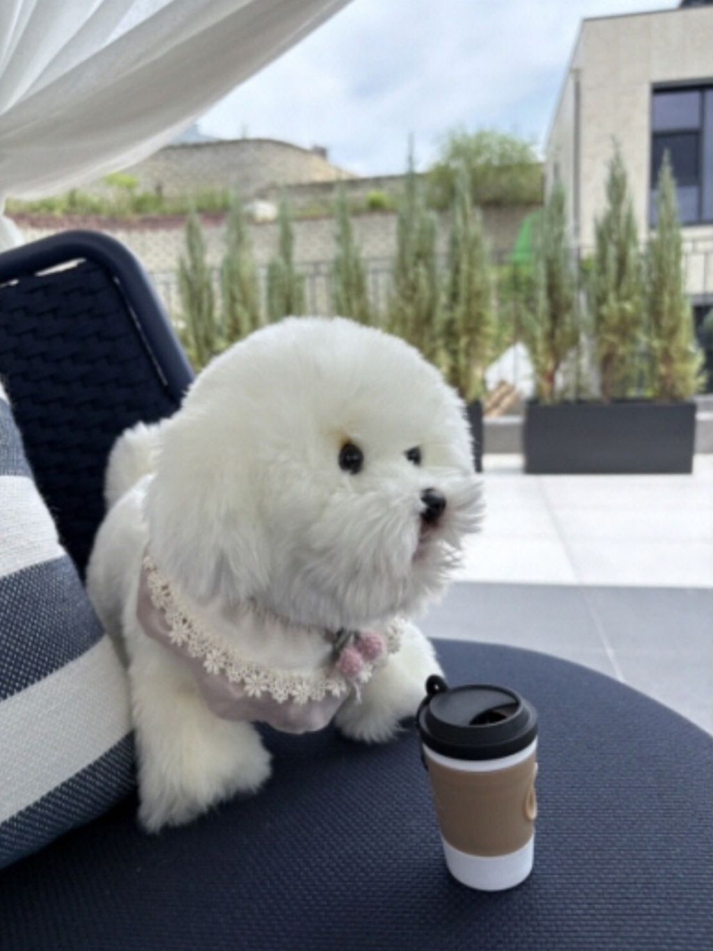 LINE_ALBUM_Blackablepuppy_250830_26