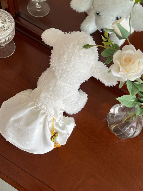 LINE_ALBUM_Petmood_250830_46