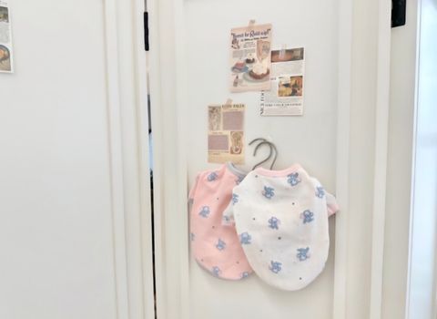 LINE_ALBUM_Doggyholic 2_250830_137