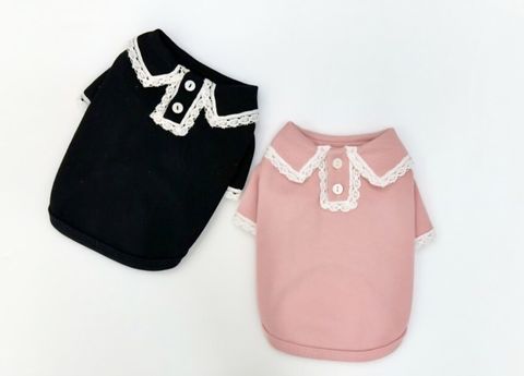 LINE_ALBUM_Doggyholic 2_250830_215