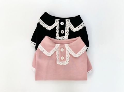 LINE_ALBUM_Doggyholic 2_250830_209