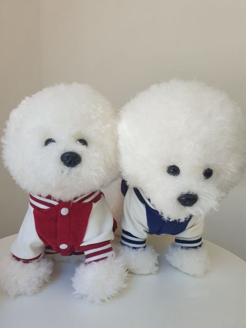 LINE_ALBUM_Doggyholic 2_250830_241