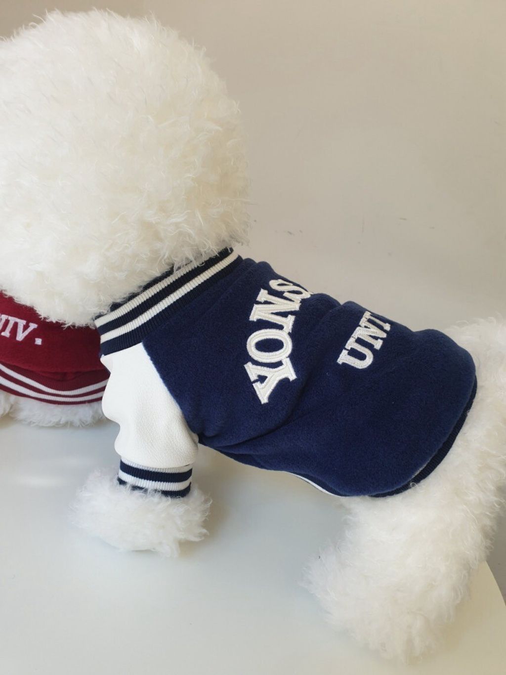 LINE_ALBUM_Doggyholic 2_250830_247
