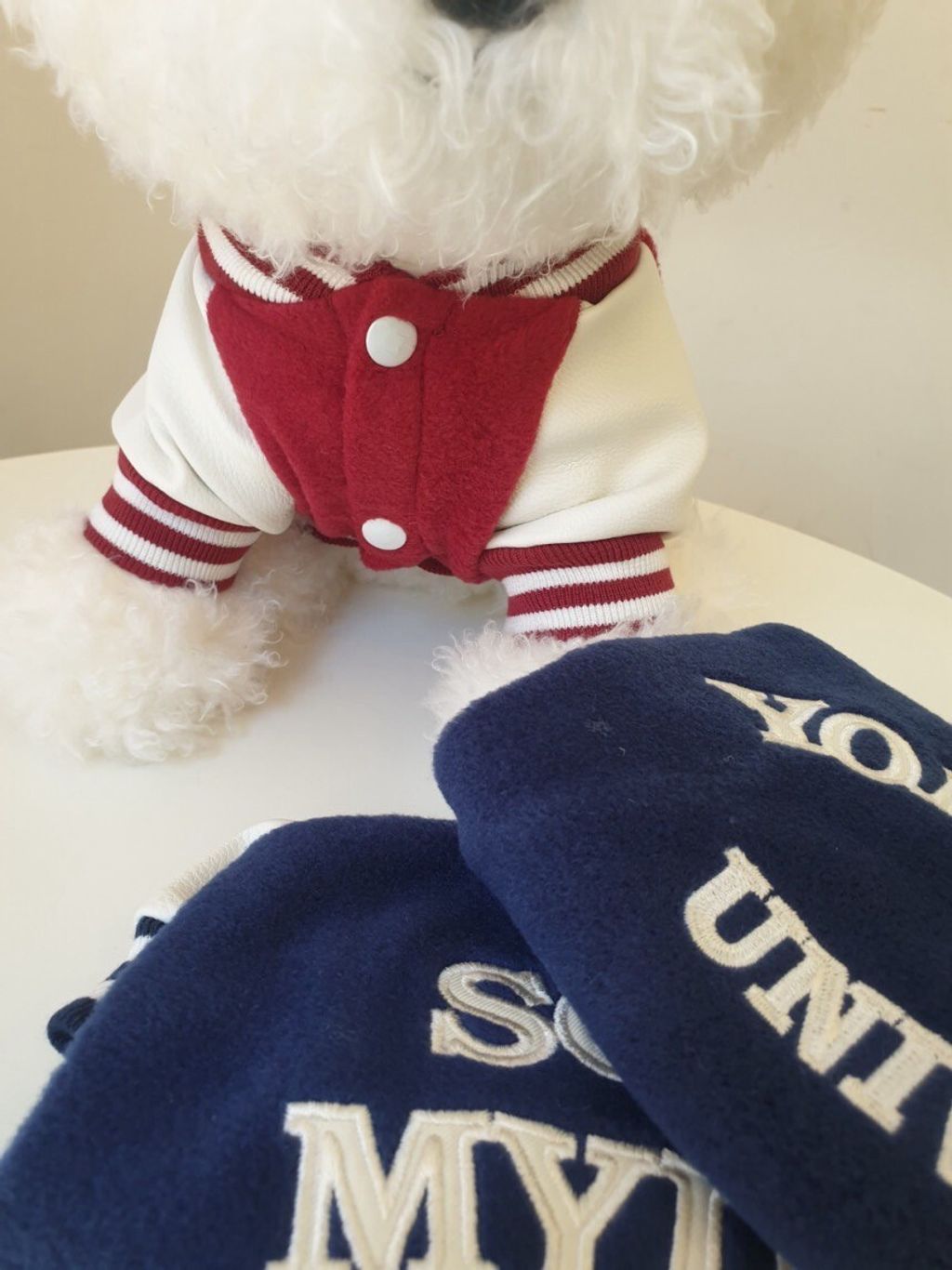 LINE_ALBUM_Doggyholic 2_250830_250