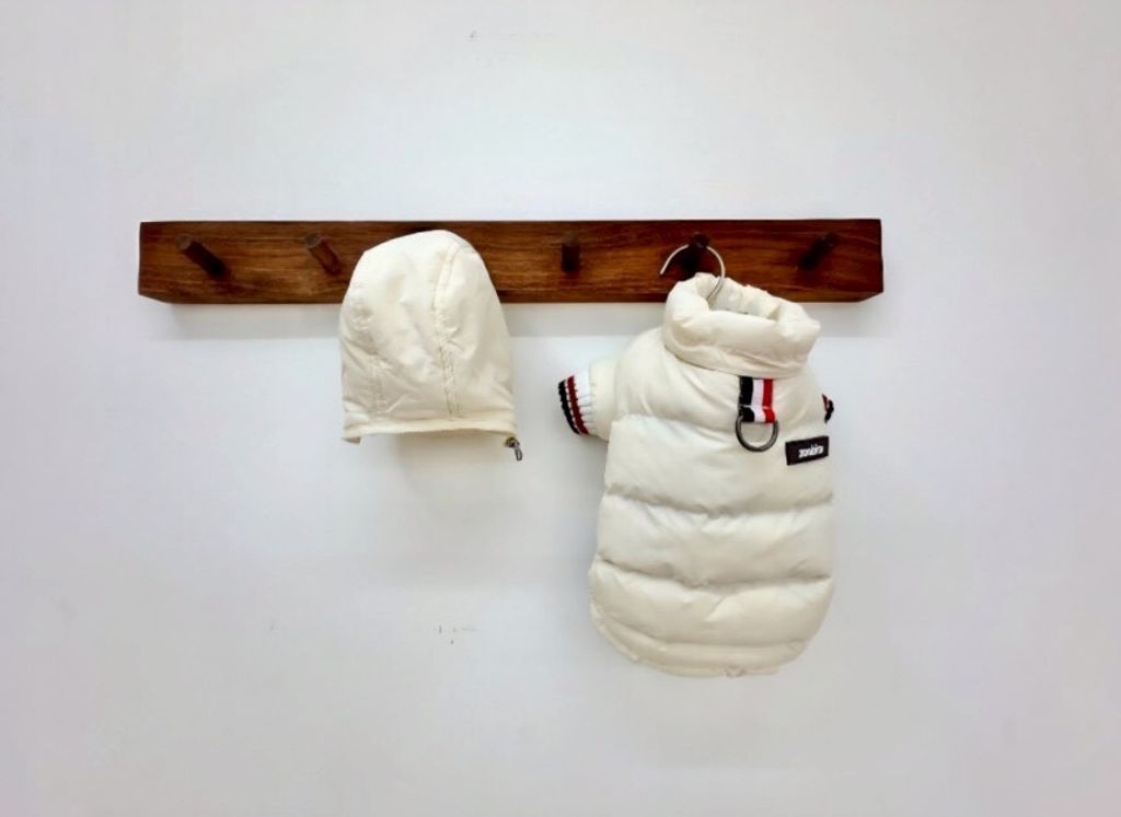 LINE_ALBUM_Doggyholic 3_251027_147