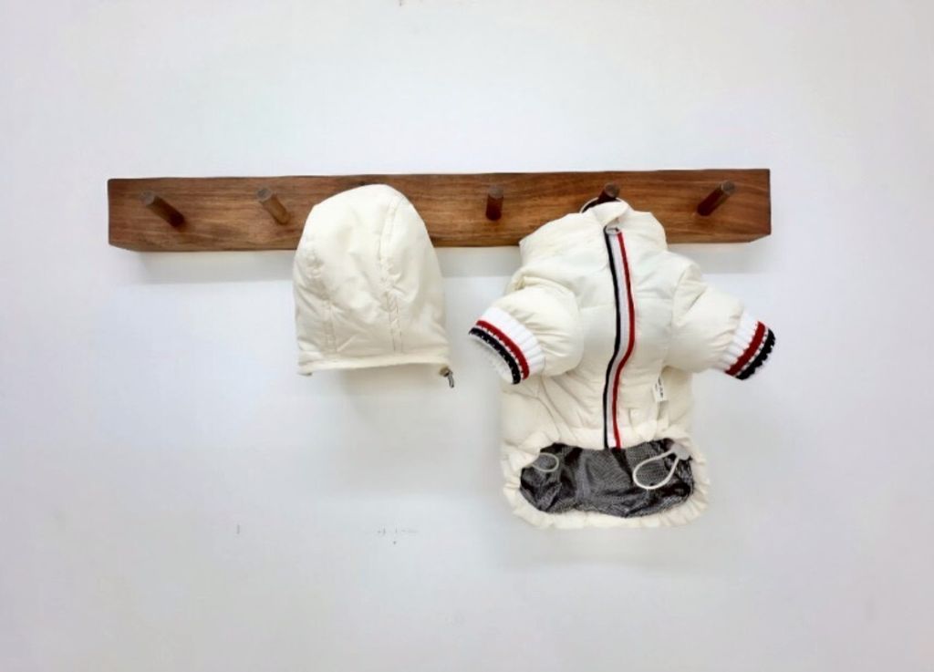 LINE_ALBUM_Doggyholic 3_251027_146