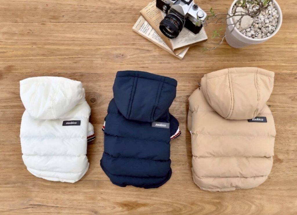 LINE_ALBUM_Doggyholic 3_251027_153