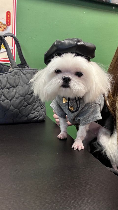 image_9994CF7D-7142-4D12-97EB-5F638A474852_1762166704