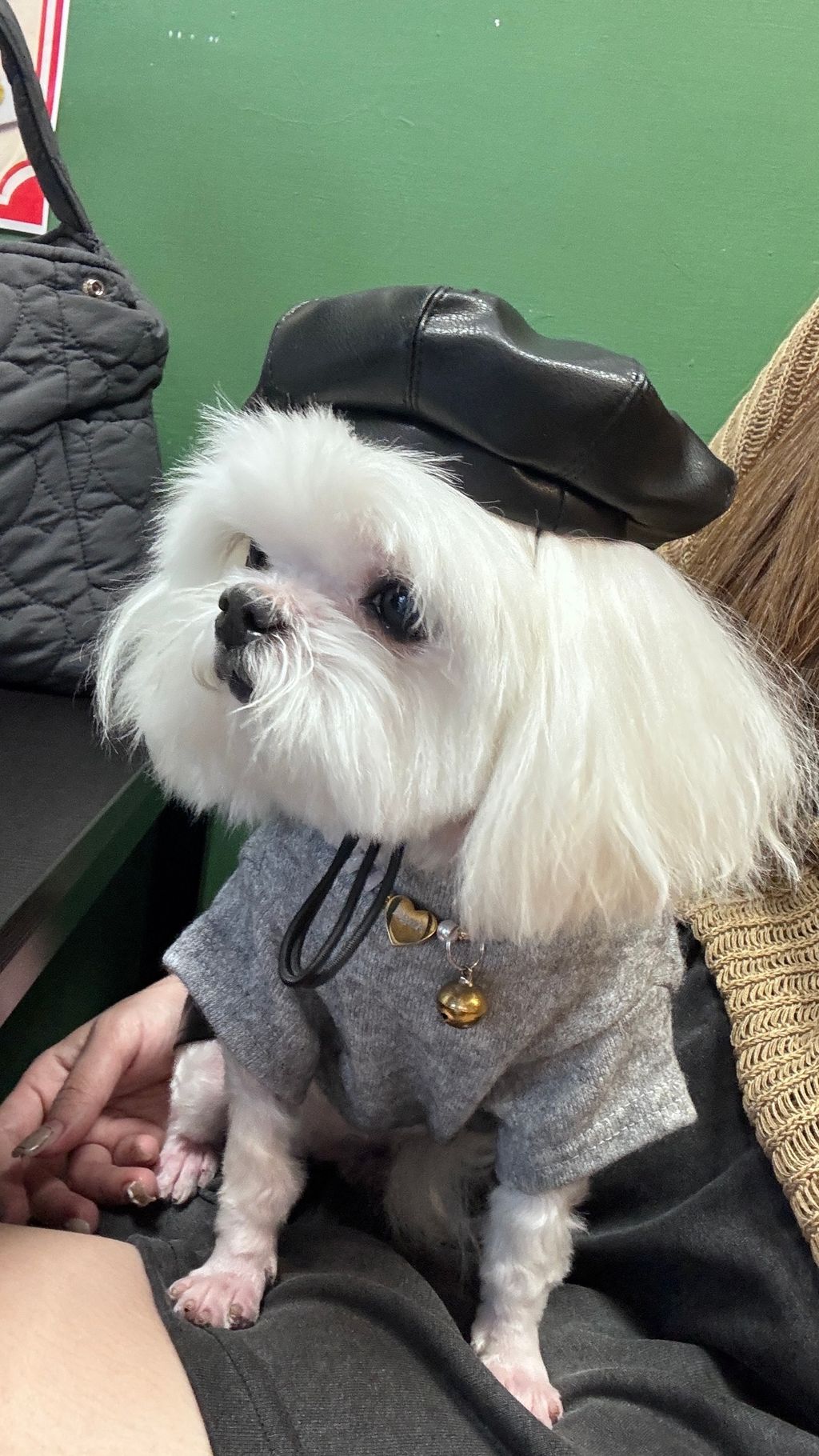 image_4057A071-4D01-41AB-9D6B-BFDD4D76C531_1762166704