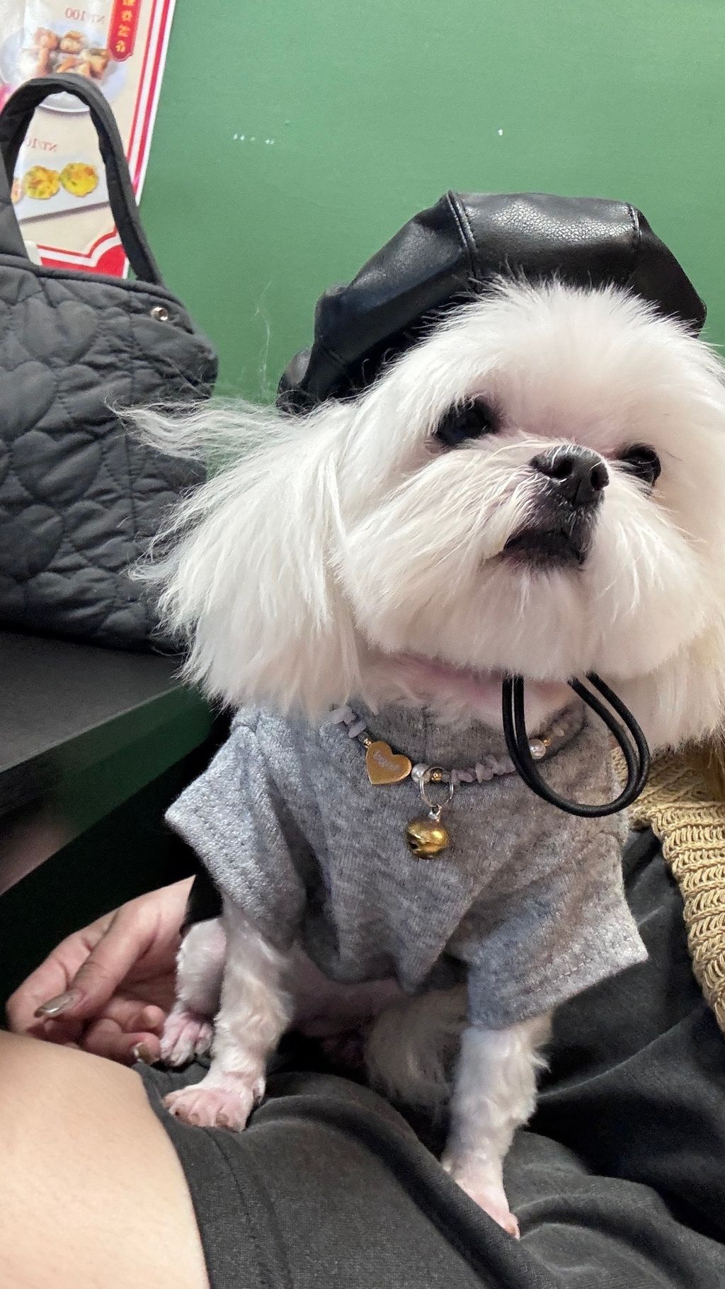 image_A38348A0-7EC9-4CE7-A43A-6CF8A3BBC2EC_1762166794