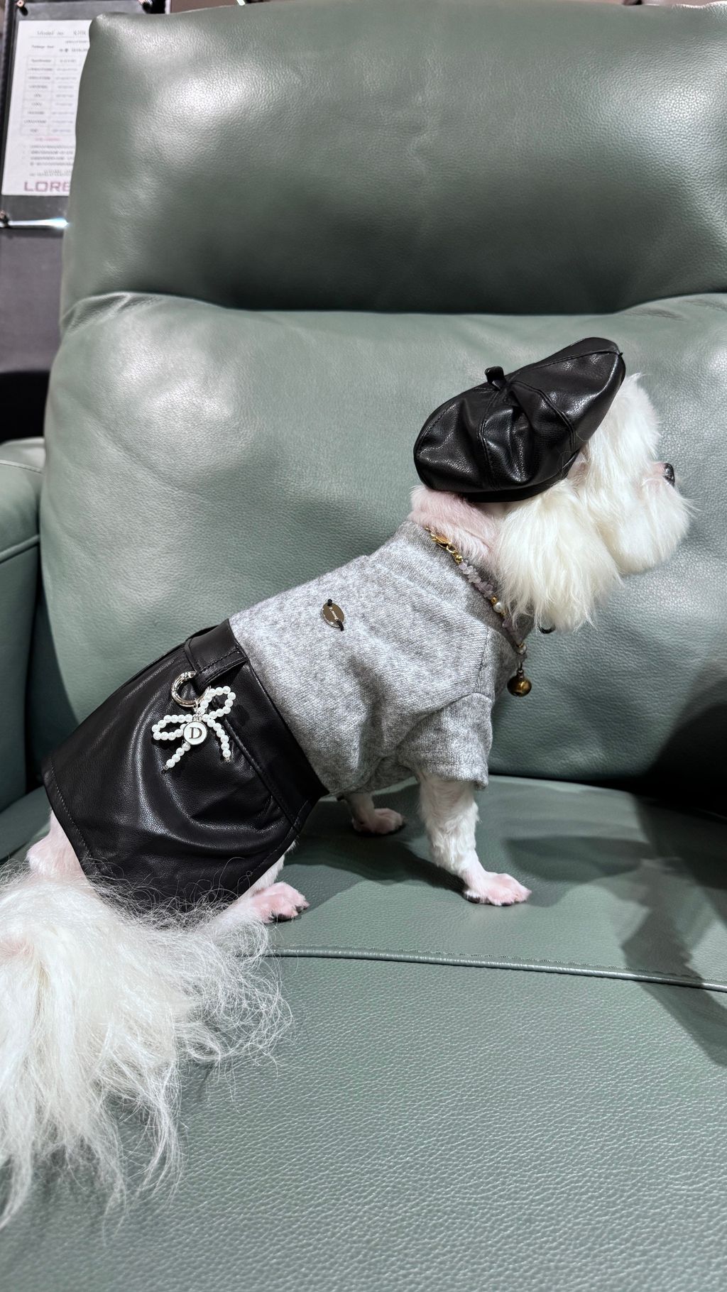 image_5B05870C-BE22-4C61-BC16-AE0733C7DF84_1762166853