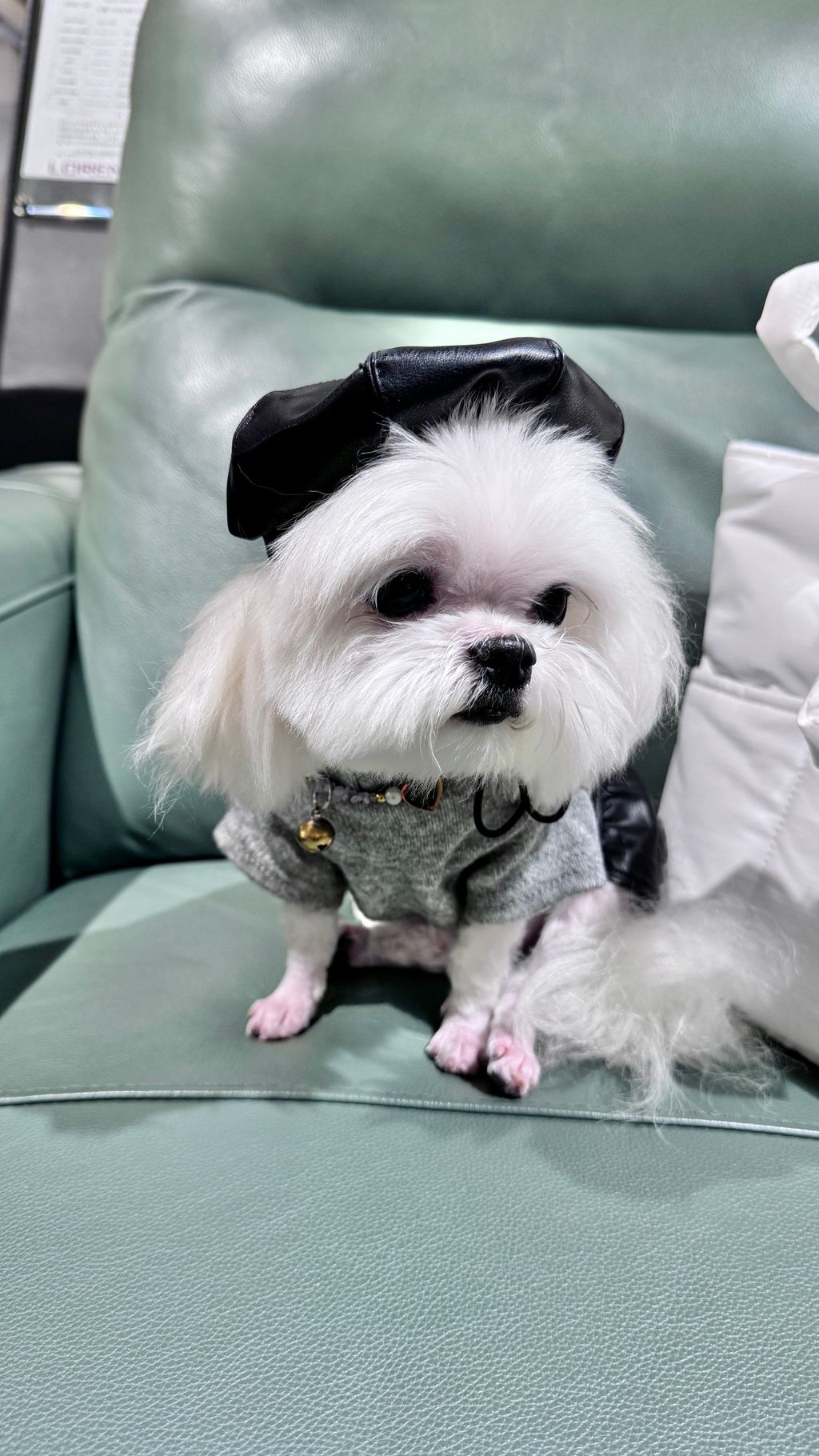 image_096102FB-A470-44FB-9032-8FDB17FA9515_1762166853