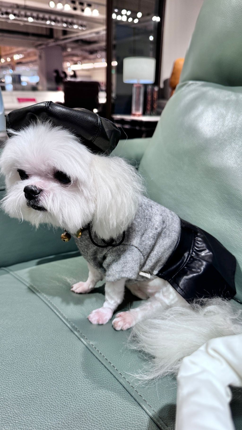 image_8D18DD85-04A2-4177-B938-6EDEC9C7597B_1762166853