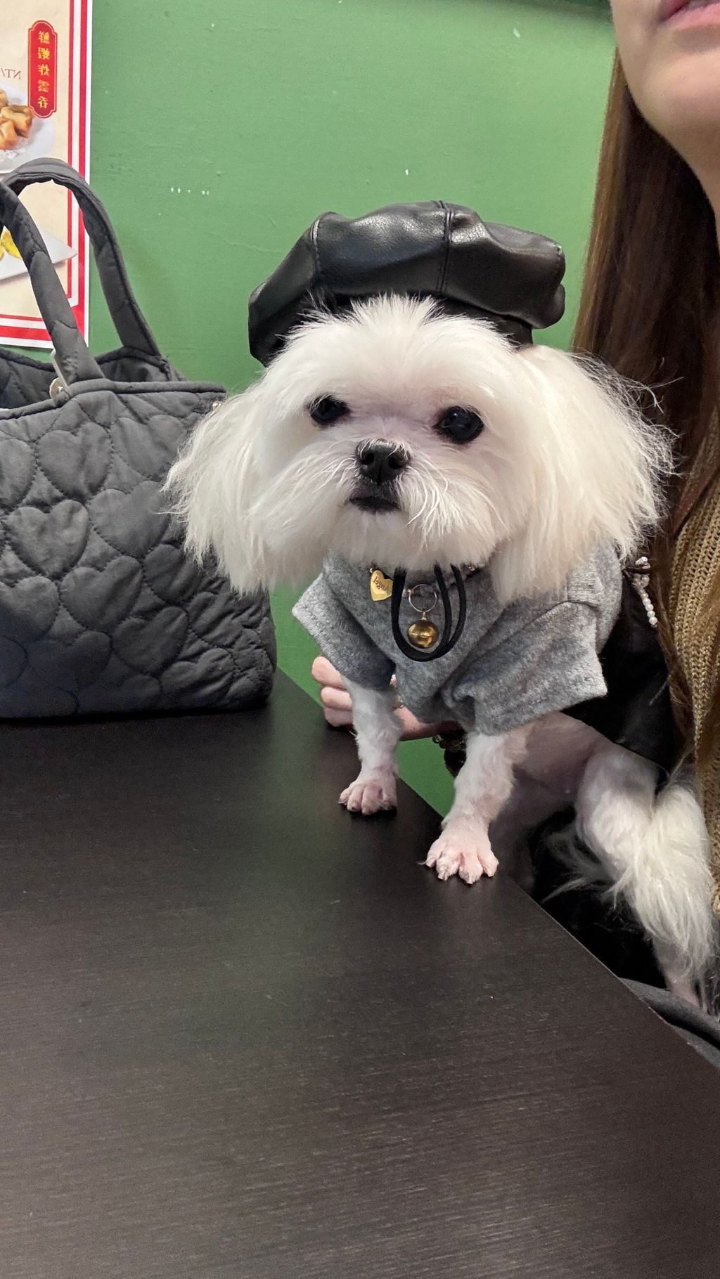 image_FFA175A2-0A6C-47B0-ADB2-316A1CC7F05D_1762166853