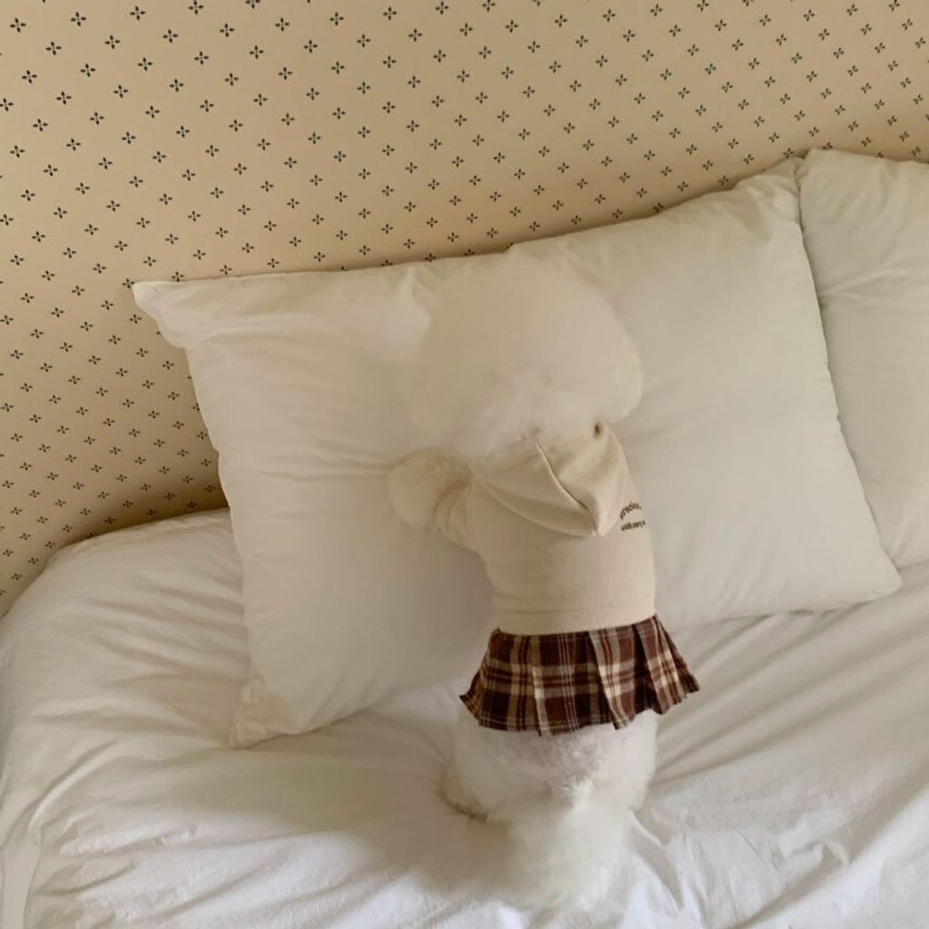 LINE_ALBUM_Doggyholic 3_251112_25