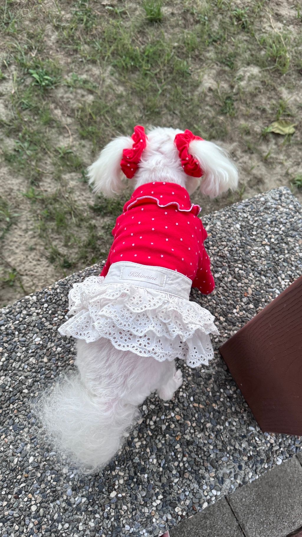 image_51D205B6-FBEE-4DB8-AE15-1EF8703BBC3D_1763204862