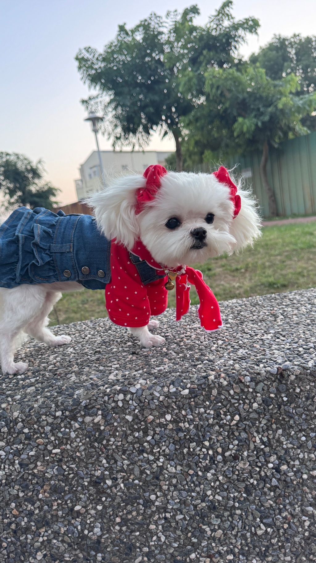 image_EF636EF0-8540-48A5-9CDD-FE7857BFF443_1763204862