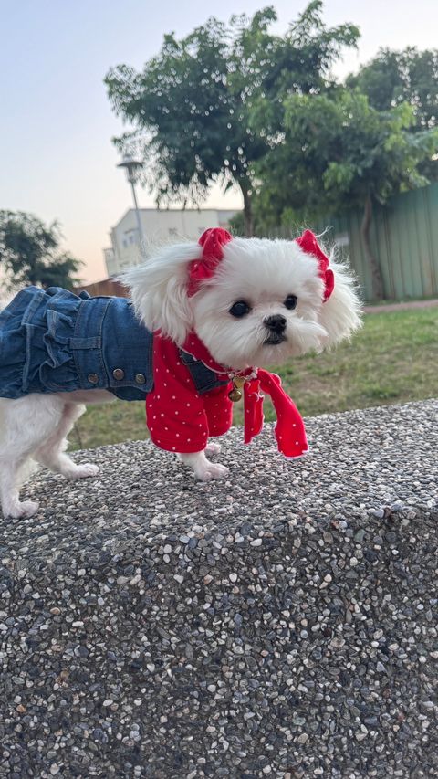 image_EF636EF0-8540-48A5-9CDD-FE7857BFF443_1763204862