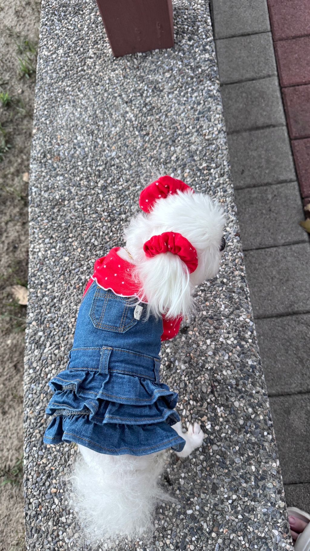 image_77051695-31AF-496C-A31E-D97AEAB49006_1763204862