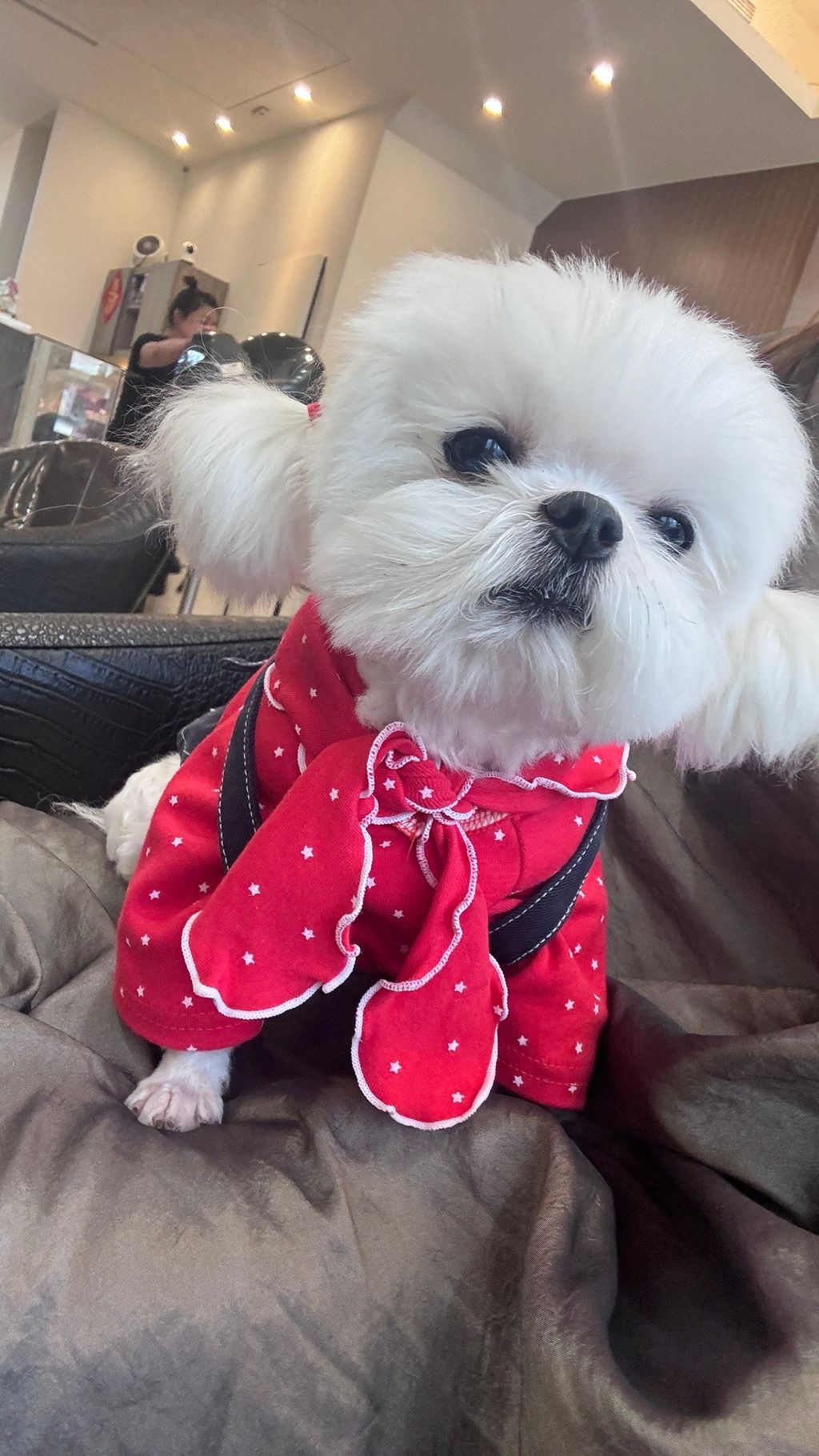 image_0D329A1C-B7F9-4815-B6EF-CB5C77A25636_1763204862