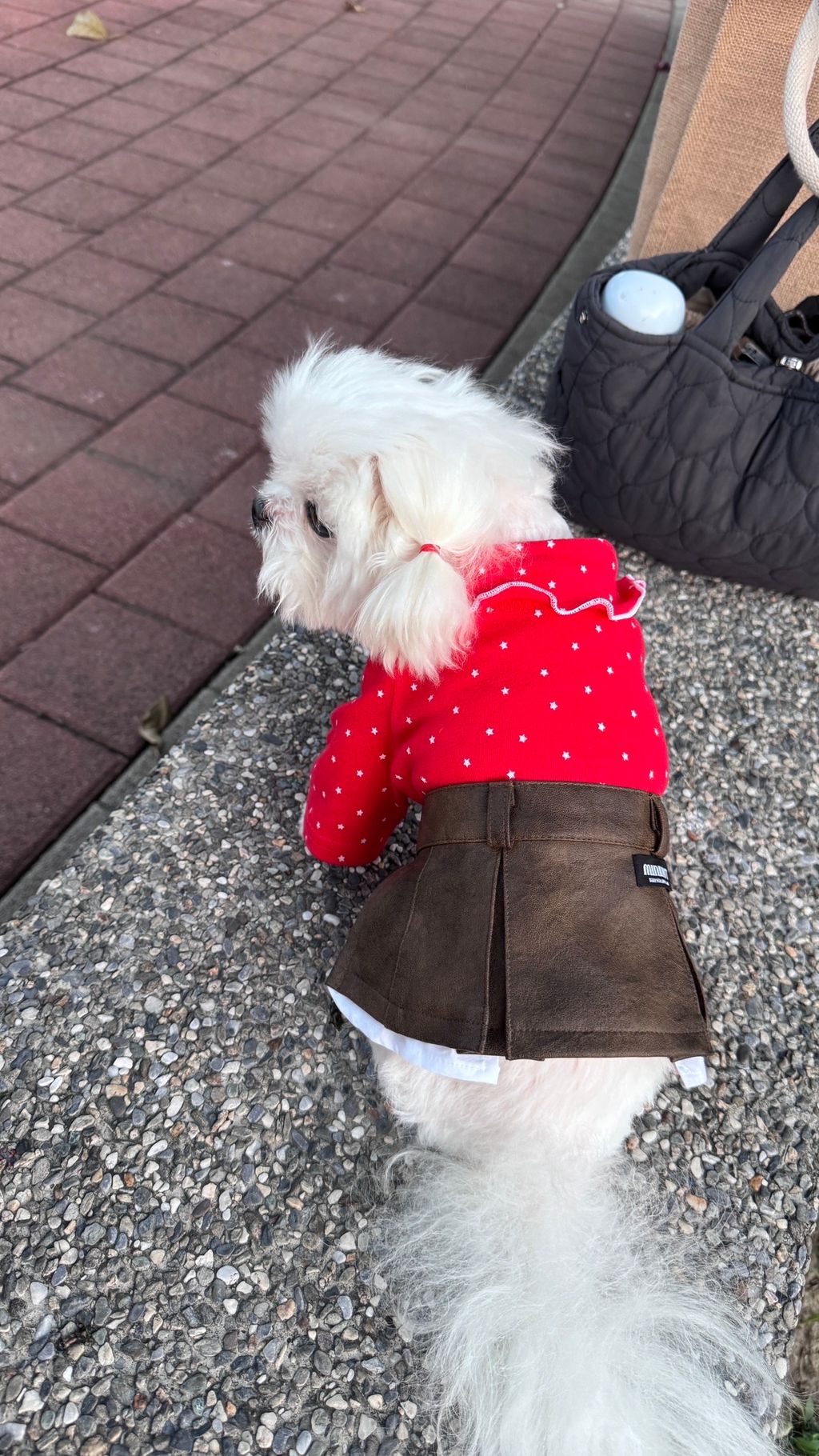 image_16D368F3-FC75-4411-BD13-6F43B8B5108B_1763204862