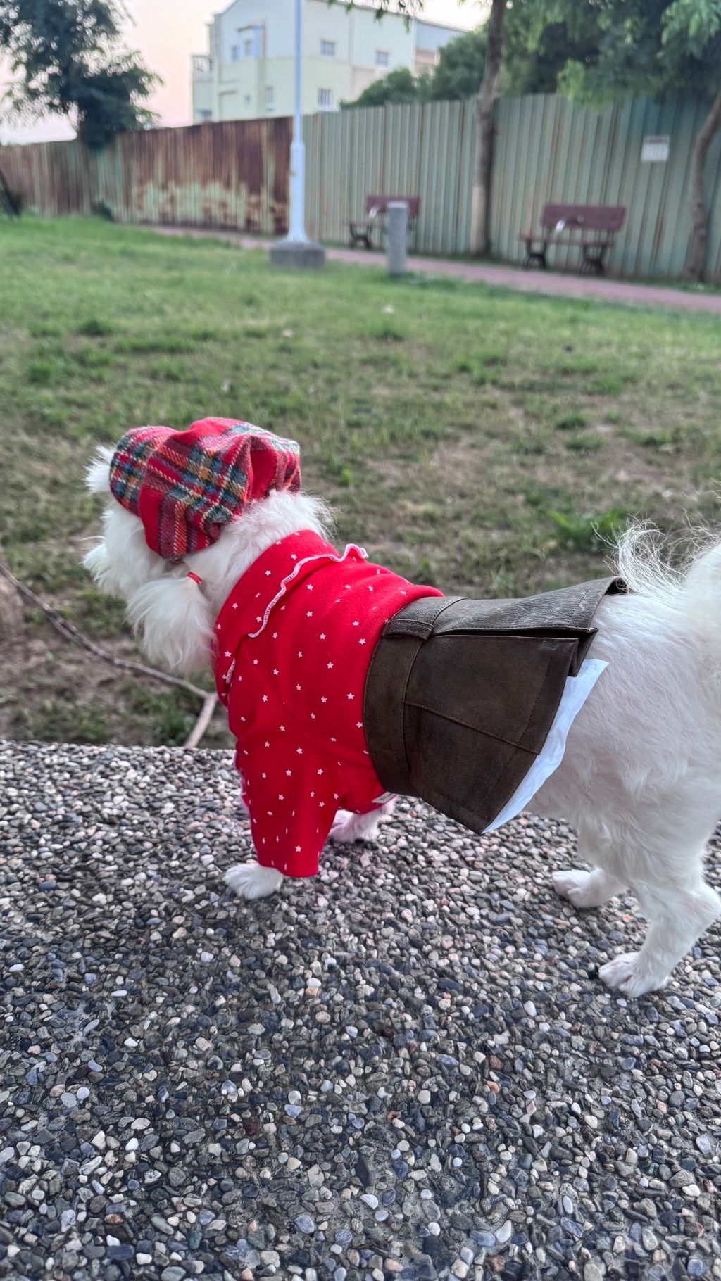 image_69849BAF-5B52-4759-9430-67603FBB8C09_1763204862