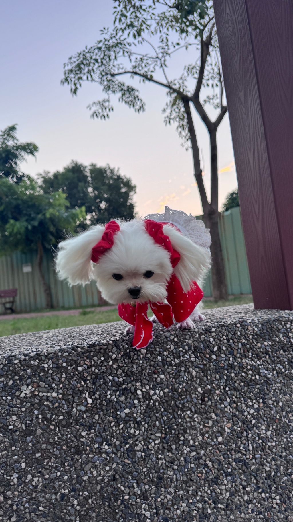 image_A86F13CD-41E3-4DA7-80DF-3E6A66F68947_1763204912