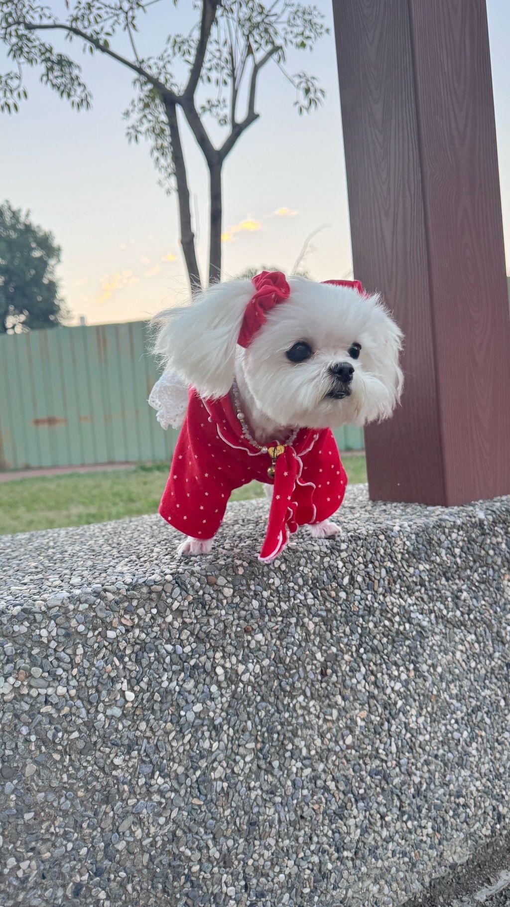 image_A2F40F7B-5753-441E-B10E-31EA17FAE12C_1763205051