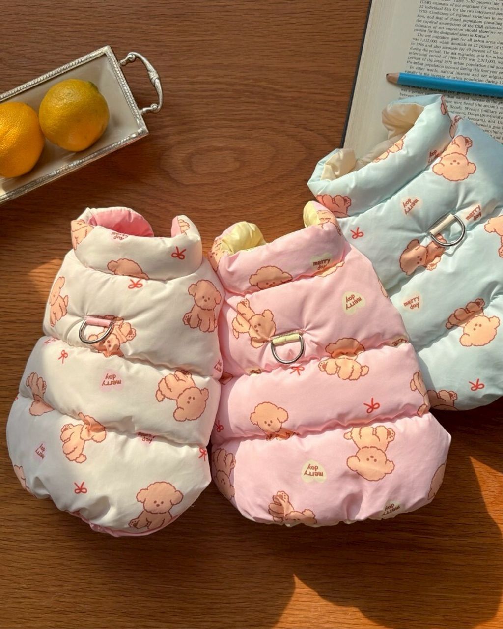 LINE_ALBUM_20251114_251116_164