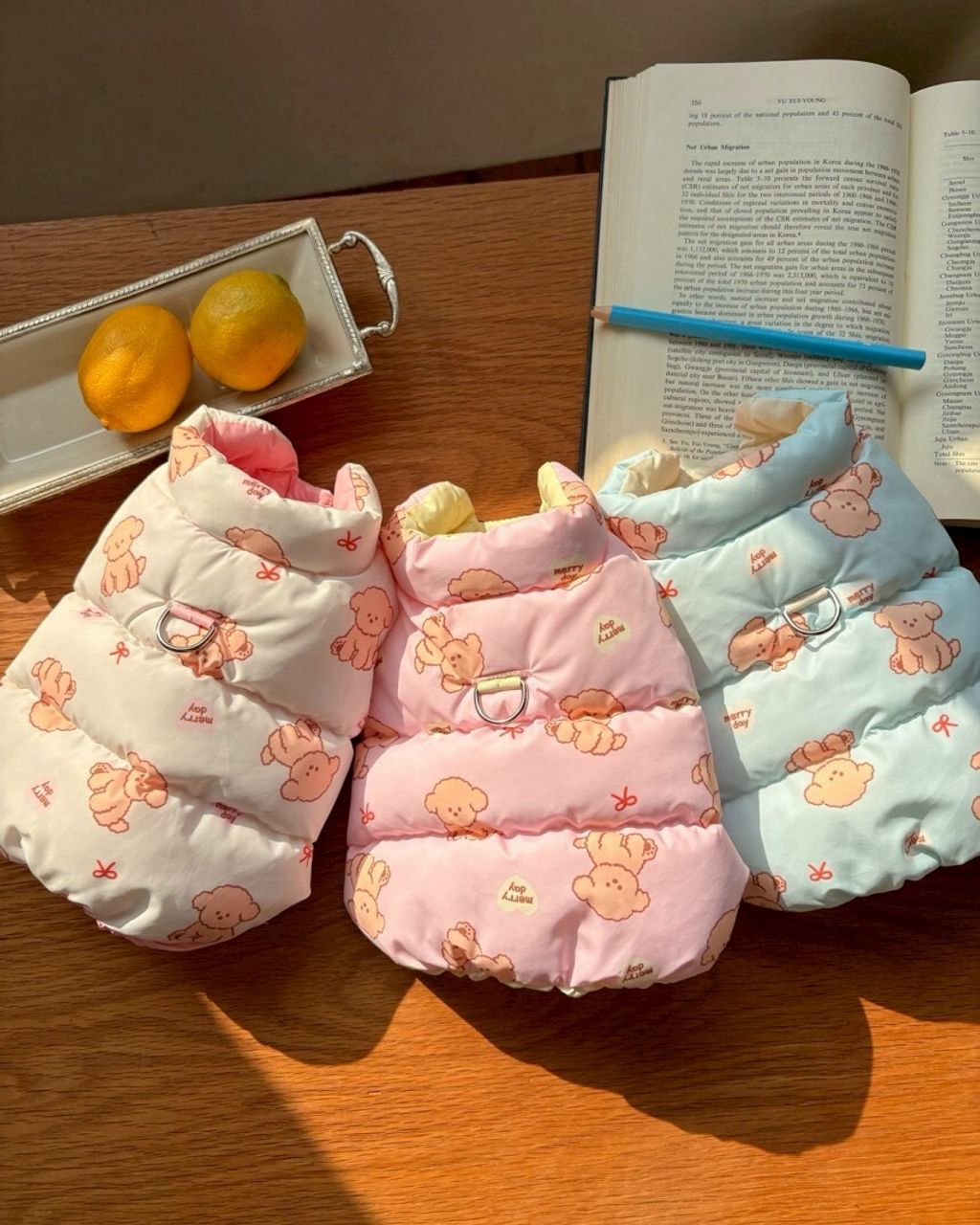 LINE_ALBUM_20251114_251116_162