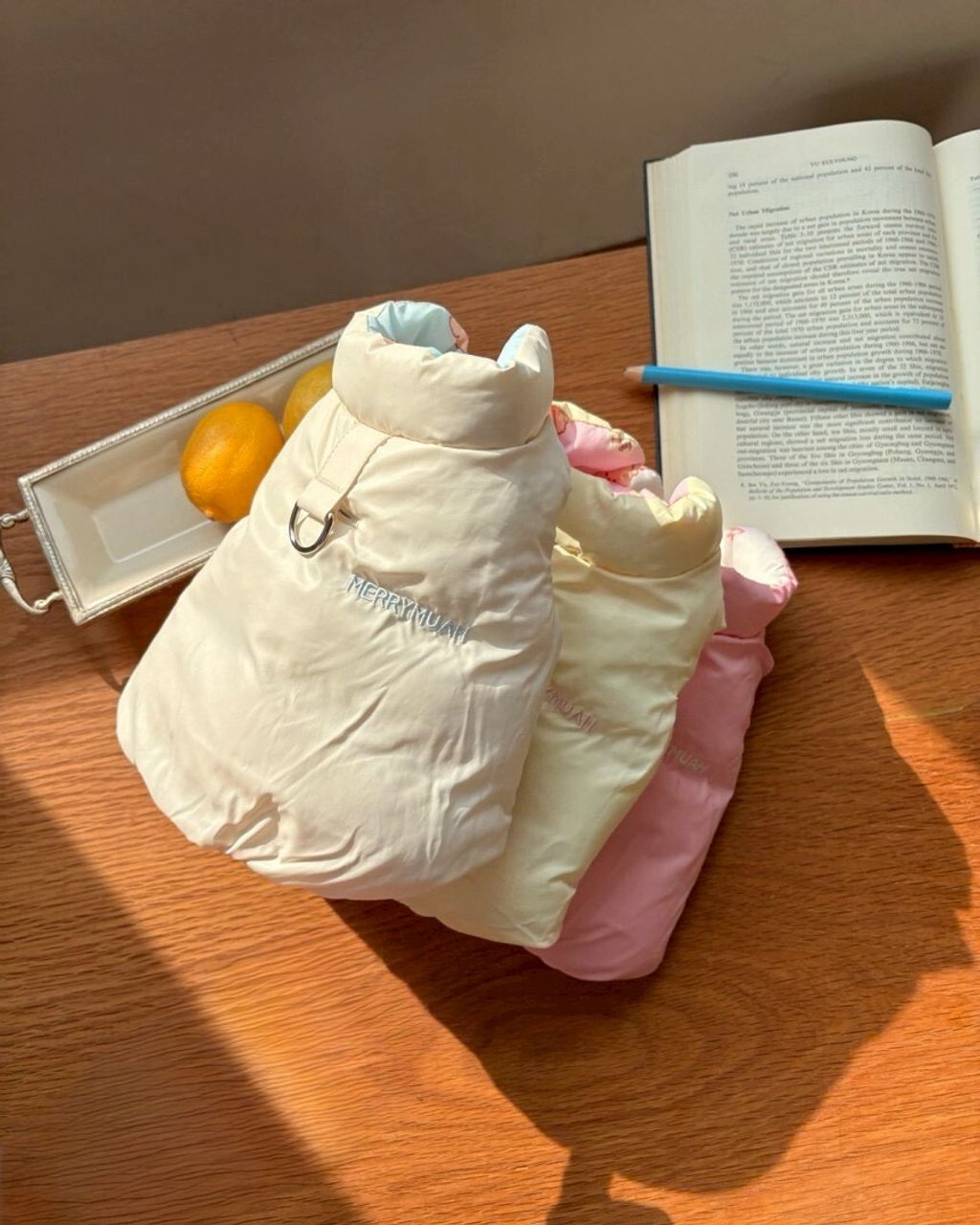 LINE_ALBUM_20251114_251116_157