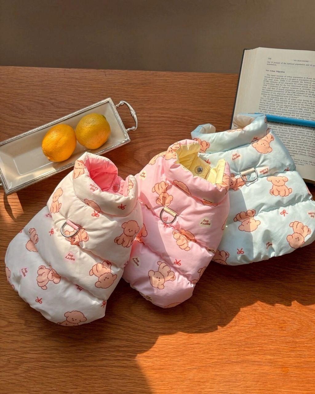 LINE_ALBUM_20251114_251116_161