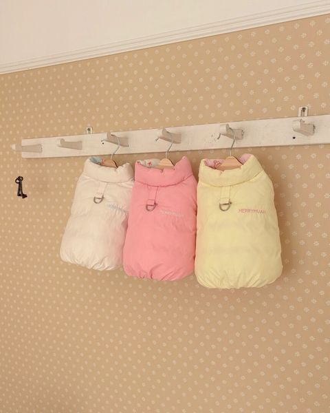 LINE_ALBUM_20251114_251116_153