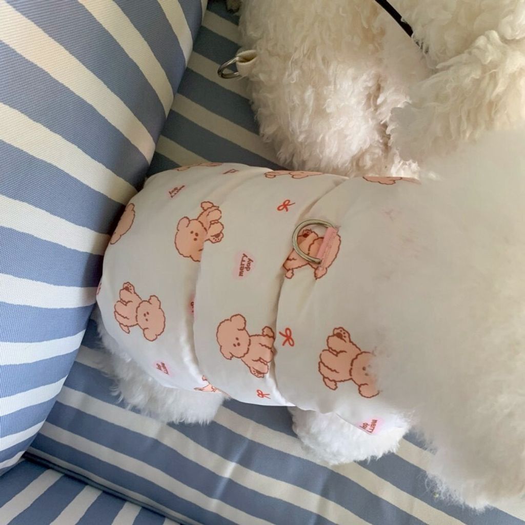 LINE_ALBUM_20251114_251116_147