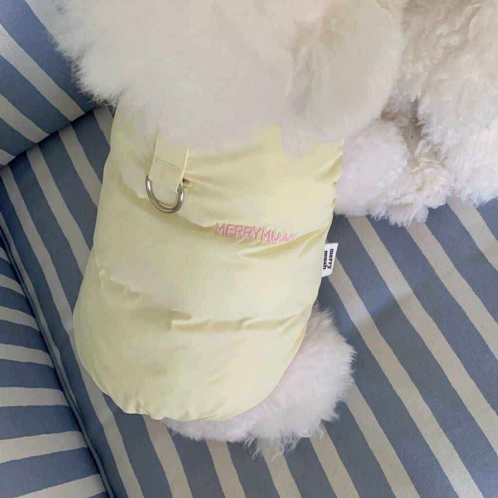 LINE_ALBUM_20251114_251116_148