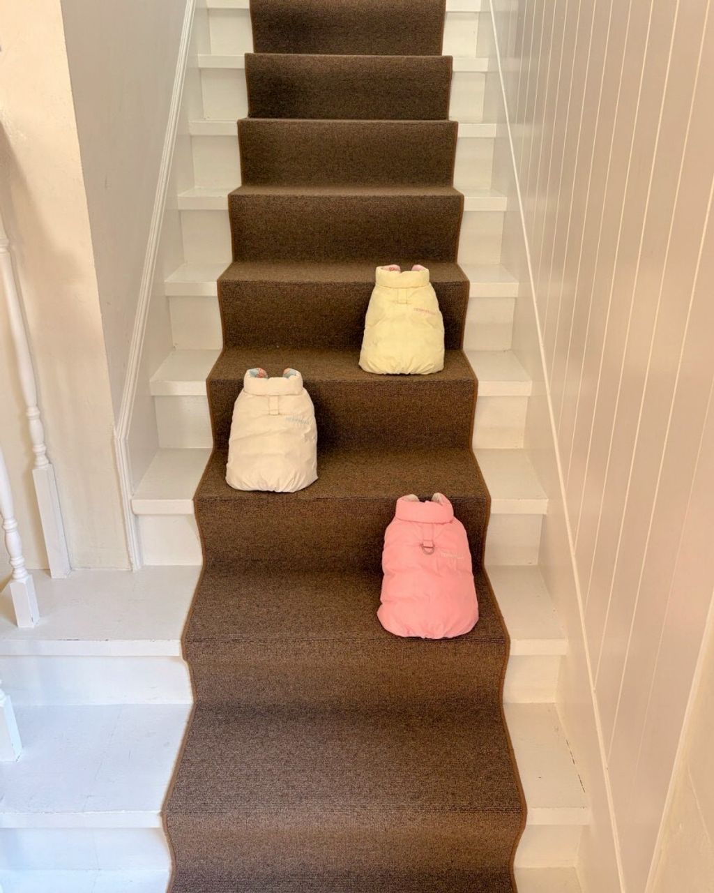 LINE_ALBUM_20251114_251116_146