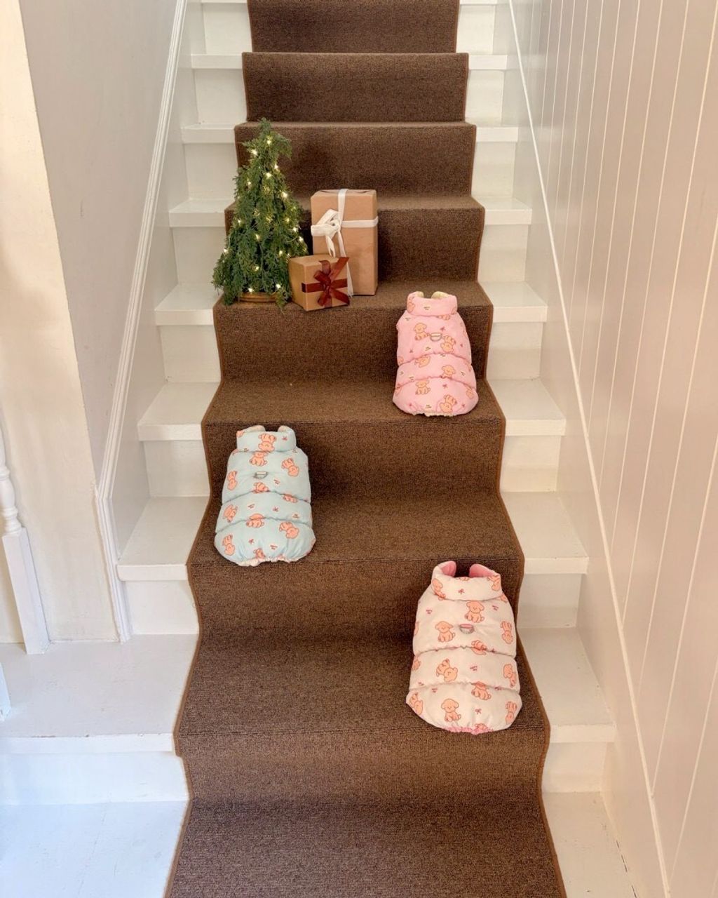 LINE_ALBUM_20251114_251116_145