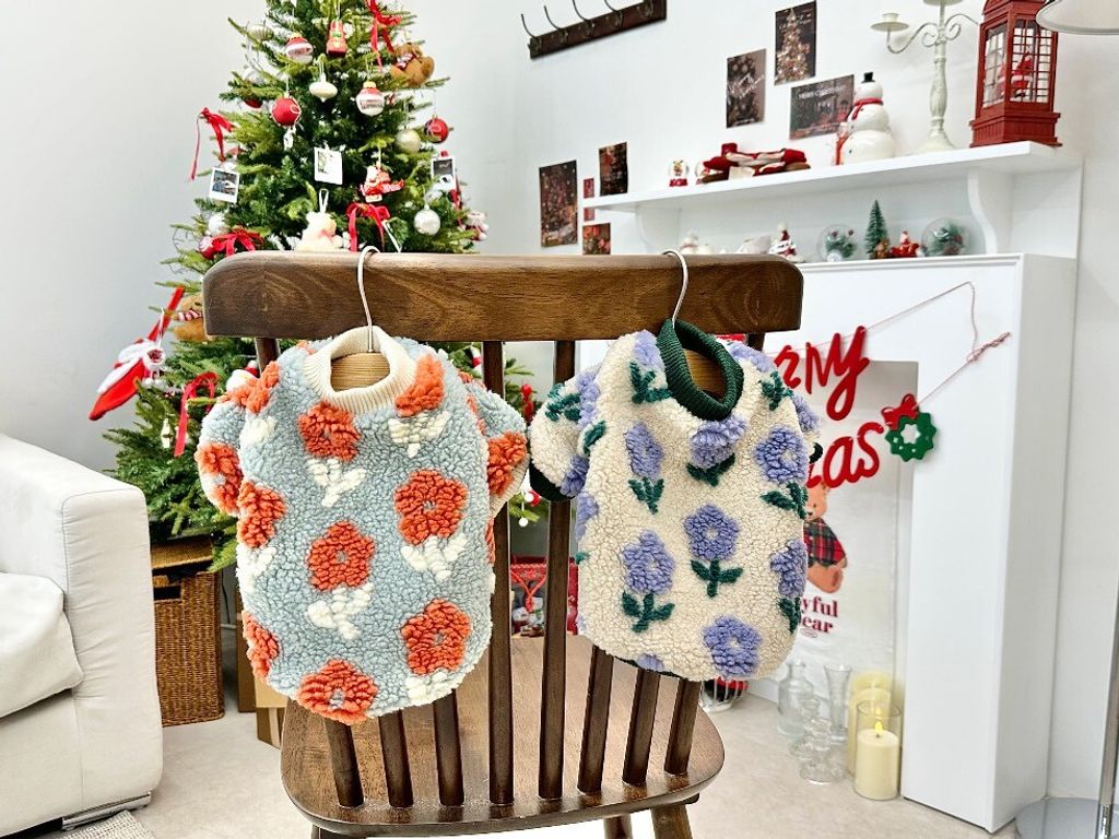 LINE_ALBUM_20251114_251116_80