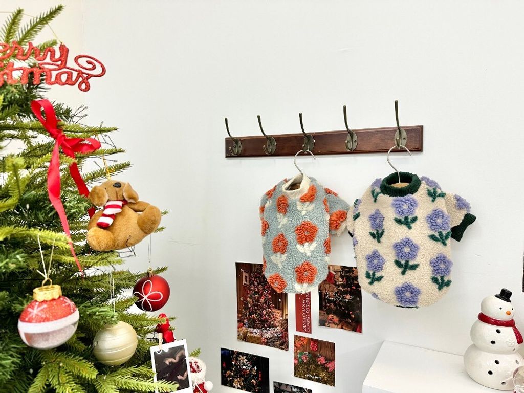 LINE_ALBUM_20251114_251116_78